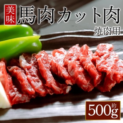 【桜屋】馬肉焼肉用500gカット済(阿蘇市)【配送不可地域:離島】【1662186】