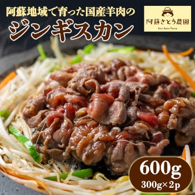 阿蘇地域で生産した貴重な国産羊肉のジンギスカン 600g(300g×2パック)【配送不可地域：離島】【1673967】