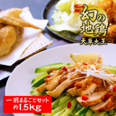 くまもと地鶏　天草大王　一羽まるごとセット【配送不可地域：離島】【1212039】