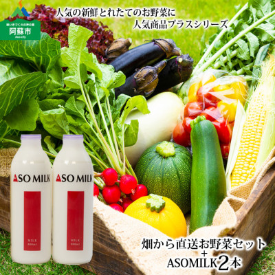 阿蘇産季節のお野菜と阿部牧場の三ツ星受賞牛乳「ASOMILK」800ml×2本【配送不可地域:離島】【1382551】