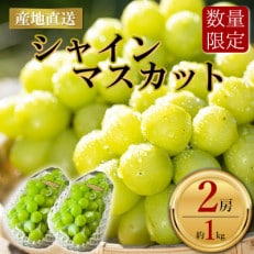 もぎたて大満足シャインマスカット2房【配送不可地域:離島】【1438597】
