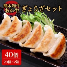 あか牛ぎょうざセット(あか牛餃子20個入り×2箱)(阿蘇市)【配送不可地域:離島】【1444013】