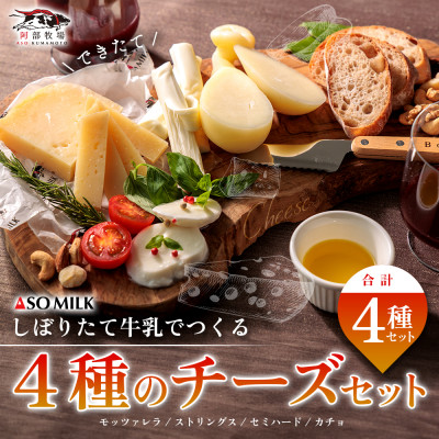 阿部牧場しぼりたて三ツ星牛乳の出来立てチーズセット(モッツァレラ・ストリングス・カチョ・セミハード)【配送不可地域:離島】【1463295】