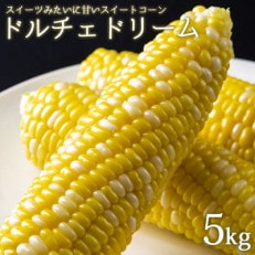 とても甘いスイートコーン「ドルチェドリーム」5kg【配送不可地域：離島・北海道・沖縄・東北・関東・信越、北陸・東海・近畿・中国・四国】【1414566】