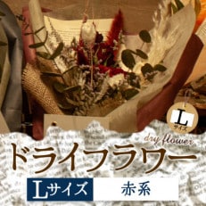 阿蘇のドライフラワー(Lサイズ:赤系)【1542632】
