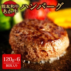 くまモンあか牛ハンバーグセット (あか牛ハンバーグ120g×6個)(阿蘇市)【配送不可地域：離島】【1556824】