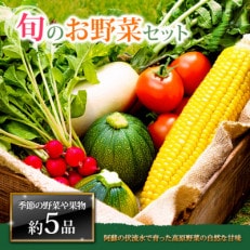 季節のお野菜セットM 旬のお野菜の中から約5品を厳選してお届け【配送不可地域:離島】【1573257】