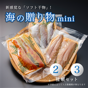 海の贈り物 mini 干物 盛り合わせ 季節の干物 2〜3種類