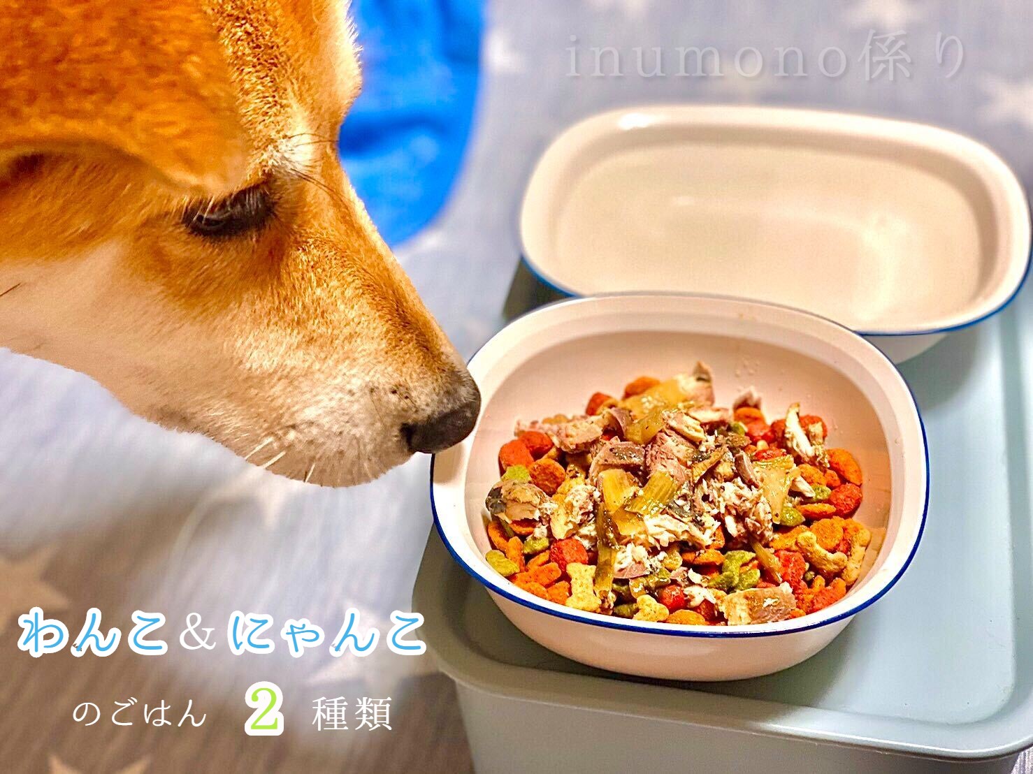 自然食材 ペットフード 2種類 4袋 安心安全 犬猫用 パウチ レトルト ペット用品 ワンコとニャンコのご飯