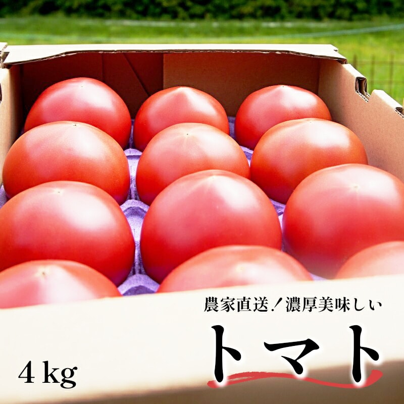 トマト 4kg 化粧箱入 農家直送 箱入り とまと 大玉トマト 完熟 新鮮 直送 農園 ハウス栽培 美味しい 濃厚 好評 京都 舞鶴 嵯峨根農園