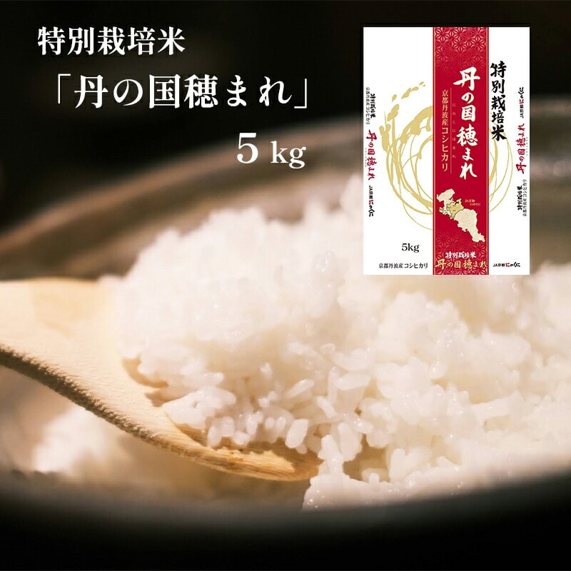 令和7年度産 新米 特別栽培米 丹の国穂まれ 精米 5kg : 新米 コシヒカリ 京都 舞鶴 中丹 JA丹の国 農協直送 お米 白米 米 ごはん JA