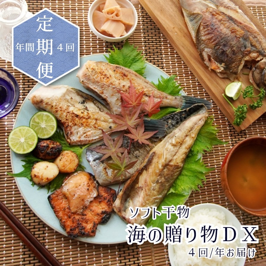 [4回定期便]海の贈り物DX 季節のソフト干物 : 豪華盛り合わせ エンデバー ENDEAVOR 人気の干物 ソフト干物 海鮮 京都 舞鶴