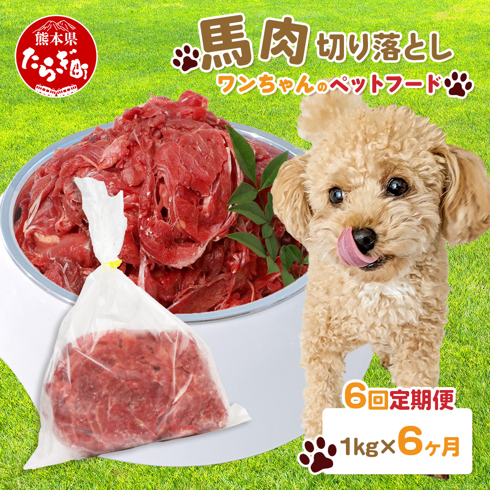 【定期便6回】ペット用 熊本加工 馬肉 切り落とし【 1kg ×6回配送 】 合計 6キロ ドッグ フード 無添加 無香料 ヘルシー 高栄養 馬刺し 冷凍 お肉専門店 熊本県 国内加工 041-0503