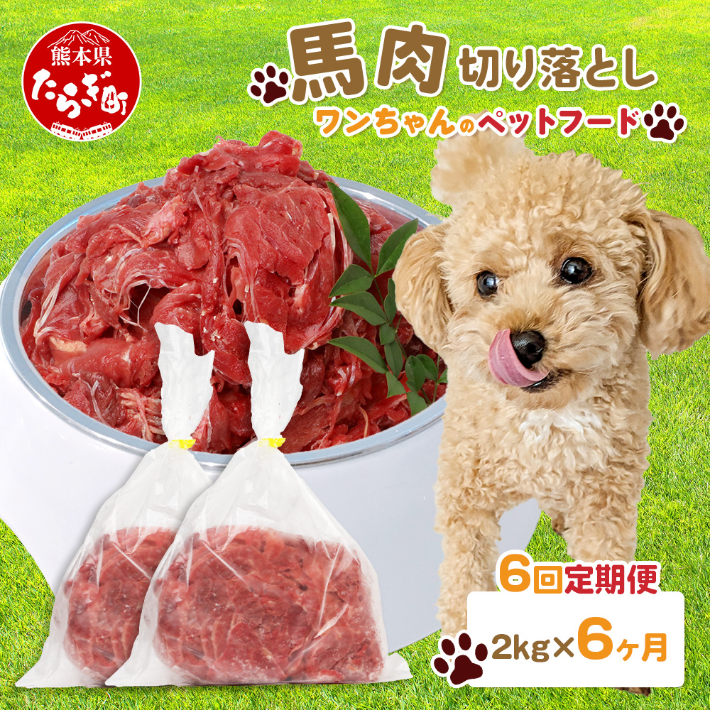 【 定期便6回 】ペット用 熊本加工 馬肉 切り落とし【 2kg ×6回配送 】 合計 12キロ ドッグ フード 無添加 無香料 ヘルシー 高栄養 馬刺し 冷凍 お肉専門店 熊本県 国内加工 041-0507