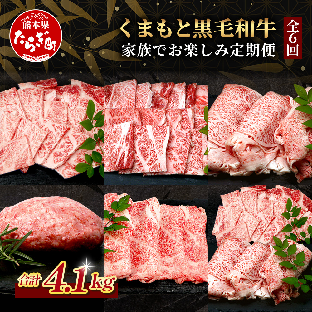 【定期便6回】くまもと黒毛和牛 家族でお楽しみ定期便 《 ロース すき焼き 焼肉 赤身 ハンバーグ10個 》【合計4.1kg】黒毛 和牛 焼き肉 すスキヤキ 焼き肉 上質 ブランド牛 国産 牛肉 冷凍 熊本県 113-0523