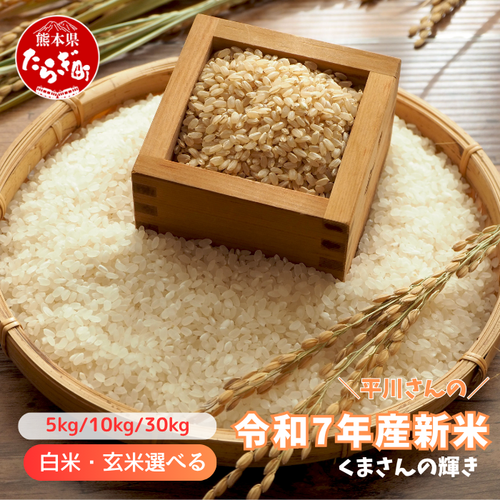 令和7年産新米【白米/玄米選べる 10kg】 くまさんの輝き 10kg (令和7年10月中旬より順次発送) 新米 熊本県 多良木町 お米 10キロ 米 白米 精米 玄米 107-0702