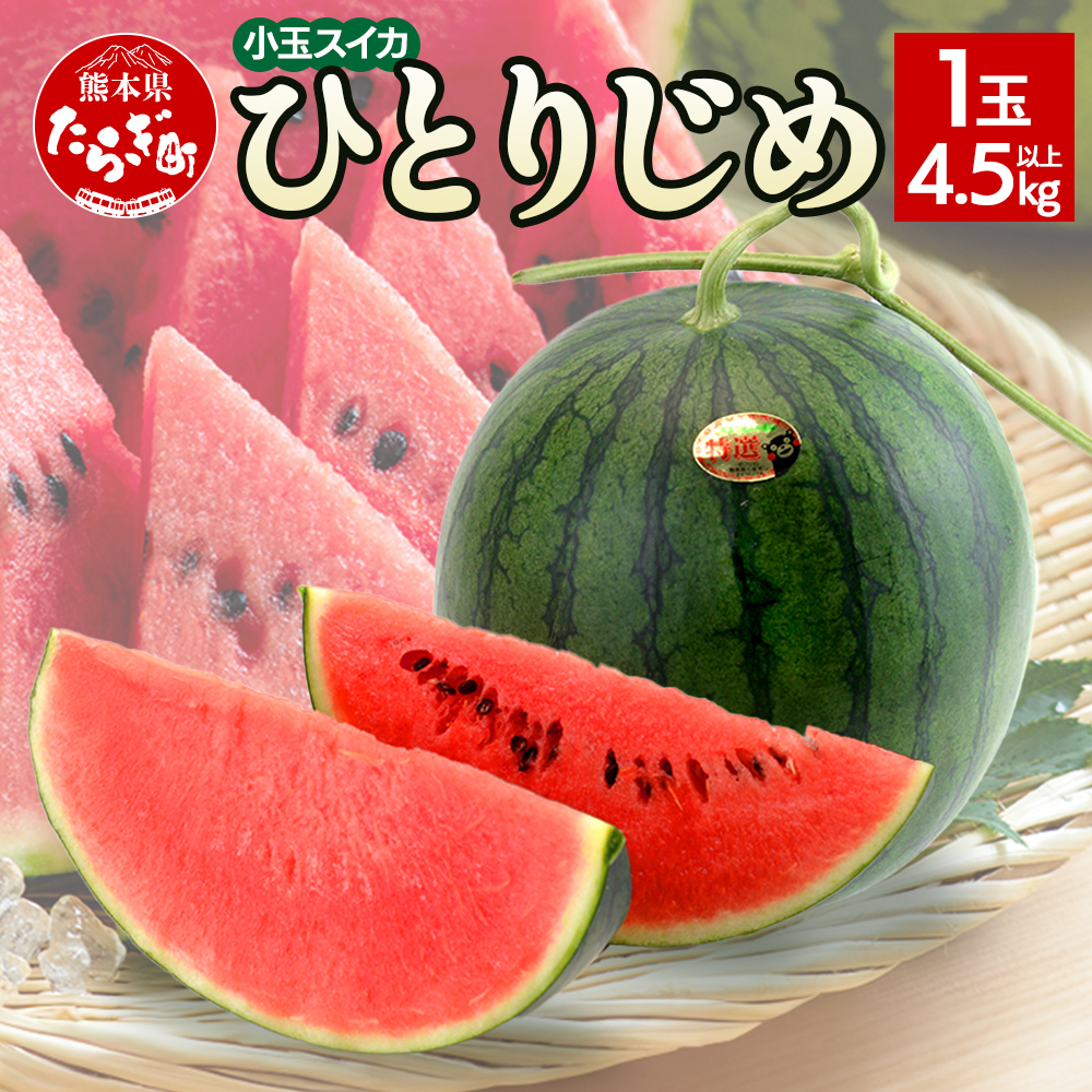 【2026年5月上旬~発送】【先行予約】熊本県産 小玉スイカ ひとりじめ 1玉 (4.5kg以上)【 2026年 夏 スイカ 西瓜 フルーツ 果物 旬の味覚 すいか 甘い 産地直送 】008-0677