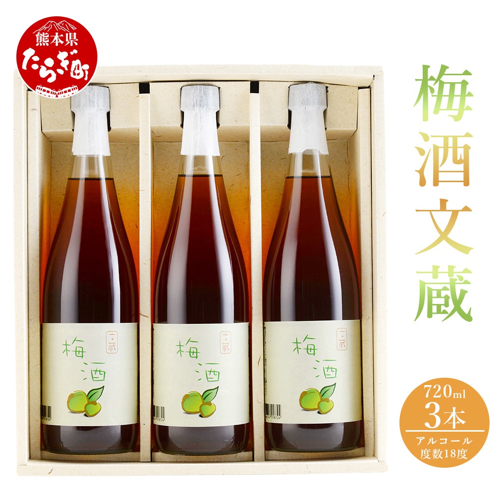 梅酒 文蔵 720ml × 3本 計2.16L【木下醸造所 球磨焼酎 文蔵 35度 で 漬け 熟成 させた 本格梅酒 本格 梅酒 梅 お酒 酒 】006-0545