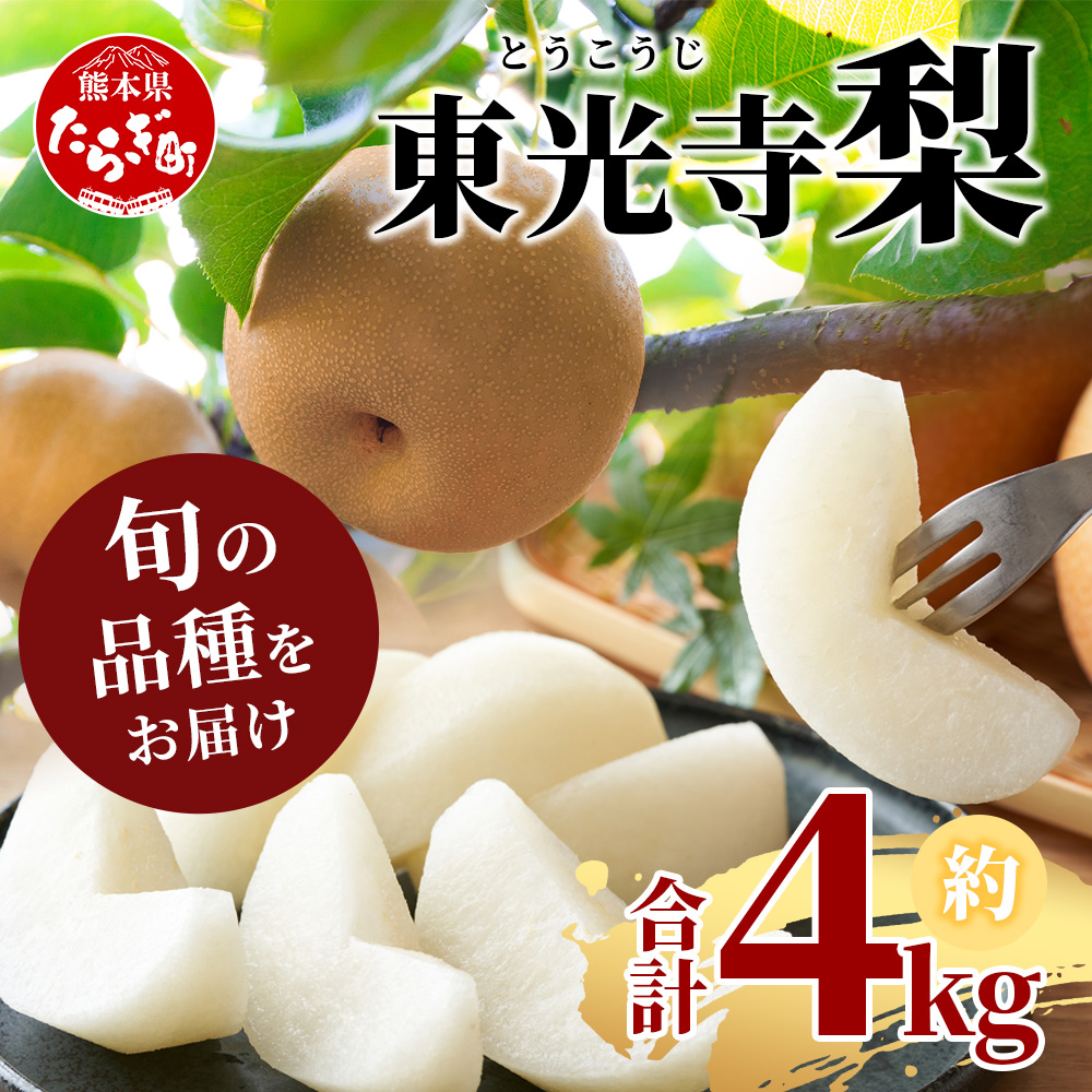 【2025年7月下旬~順次発送】東光寺 梨 4kg (8~15玉) 1箱【 完熟 フルーツ 果物 旬 夏 梨 幸水 豊水 秋月 新高 新興 】025-0572