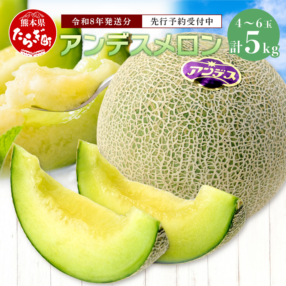【2026年 4月下旬以降発送分 先行予約】アンデスメロン 4玉~6玉(1箱5kg)熊本県 多良木町産 012-0556