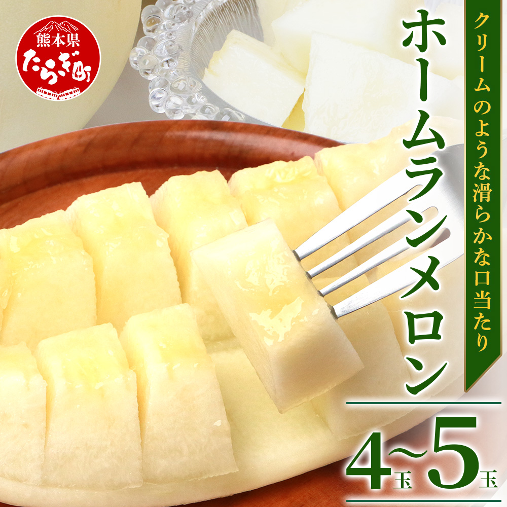 【2026年5月上旬発送開始】【先行予約】熊本県産 ホームランメロン 4~5玉 約5kg 【 ご予約 メロン フルーツ 果物 熊本 多良木 たらぎ 】083-0698