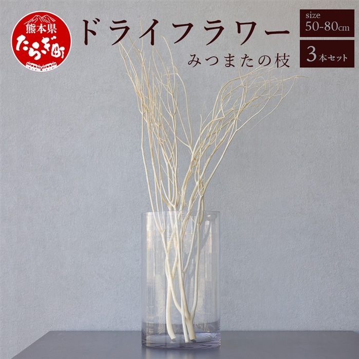 【インテリア】 TSUKIGI みつまた 50cm~80cm 【 白枝 インテリア オブジェ 3本セット 枝 白 モダン おしゃれ ドライフラワー ナチュラル アロマブランチ 天然 国産 槻木 多良木町 】 048-0586