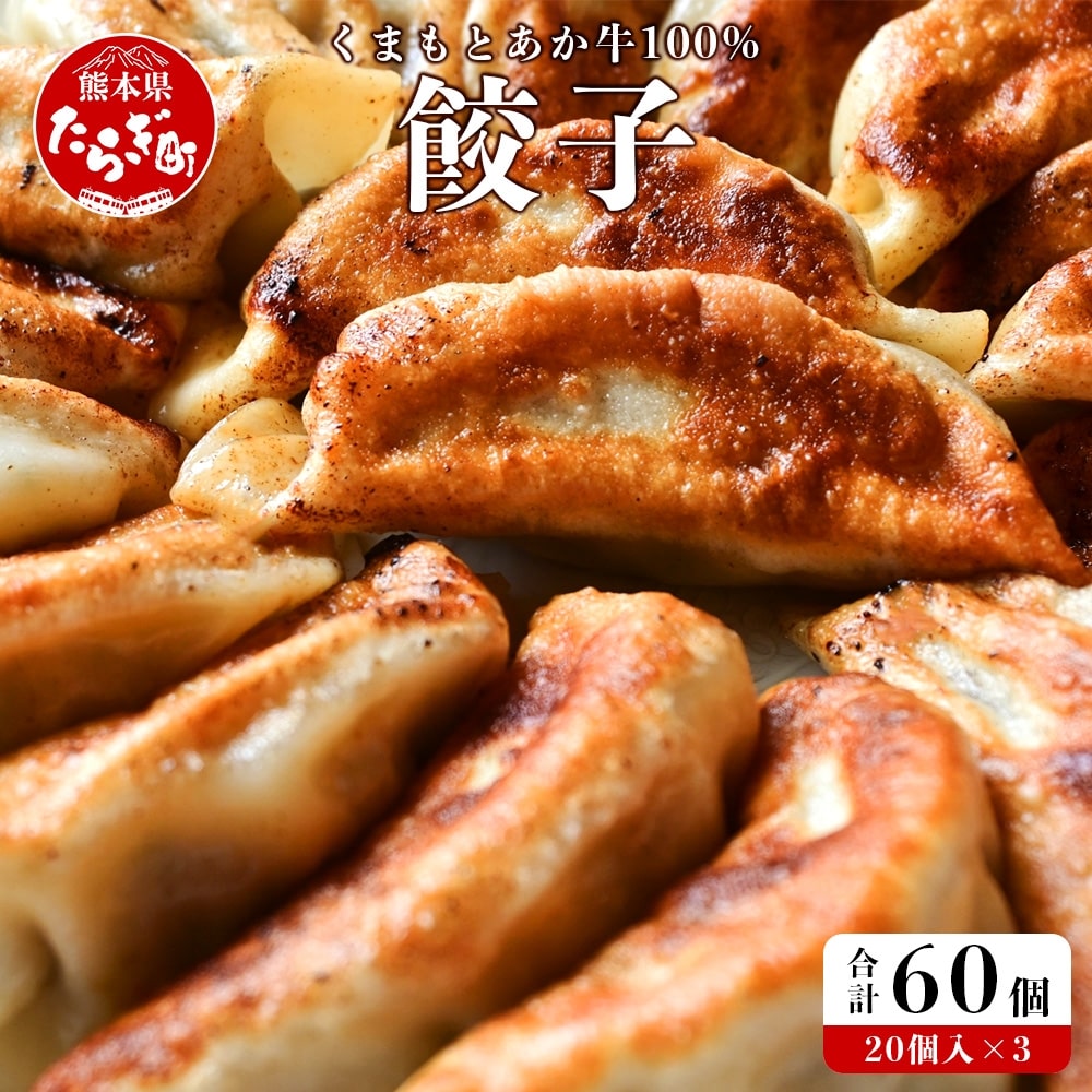 【餃子】 くまもとあか牛 100％ 餃子 計60個（20個×3パック） 冷凍 熊本県産 あか牛 ぎょうざ 惣菜 おかず 和牛 牛肉 お手軽 簡単 073-0403