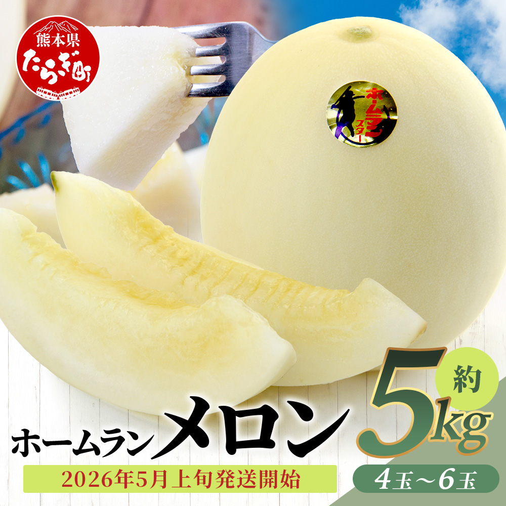 【2026年5月上旬発送開始】【 先行予約 】ホームランメロン 5kg(4-6玉)  予約 ご予約 2026 令和8年 先行 メロン フルーツ デザート 果物 熊本県 多良木町 008-0661