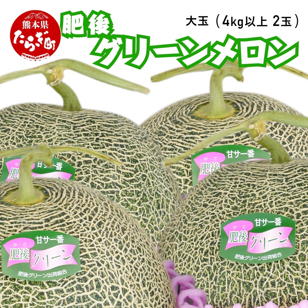 【2026年5月下旬~発送予定】【 先行予約 】熊本県産 肥後グリーン メロン 4玉(2玉入り×2箱) 1玉約1.6kg以上 合計約6.4kg以上 多良木町 メロン 果物 フルーツ 旬 甘い 熊本 多良木 産地直送  008-0664