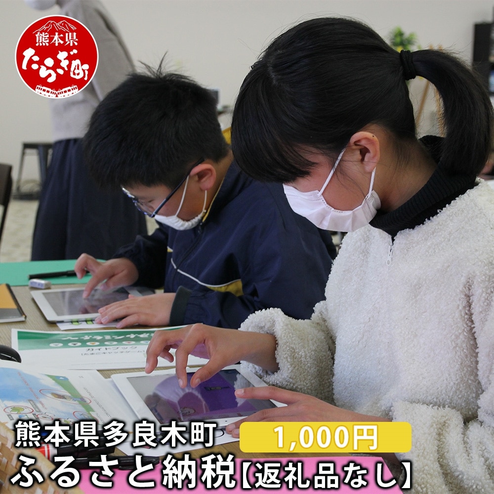 熊本県多良木町への寄附（返礼品はありません）【 ふるさと納税 熊本県 多良木町 応援 寄附 】 028-0344