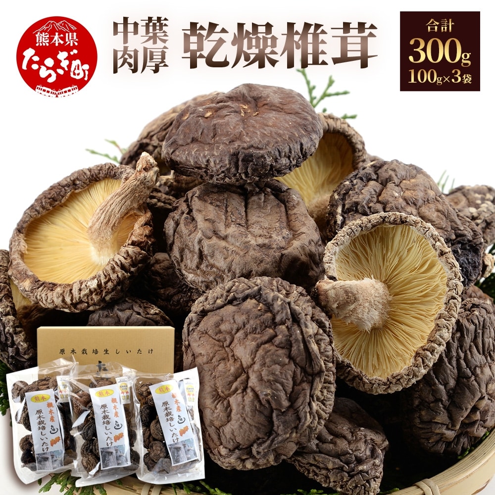 ＜農林水産大臣賞＞ 槻木産 中葉厚肉 乾燥椎茸 計300g ＜100g×3袋セット＞ しいたけ 熊本県 多良木町 原木 シイタケ 【 椎茸 しいたけ シイタケ 槻木 つきぎ 乾燥 乾燥椎茸 干し 椎茸 原木 厚肉 】 026-0573