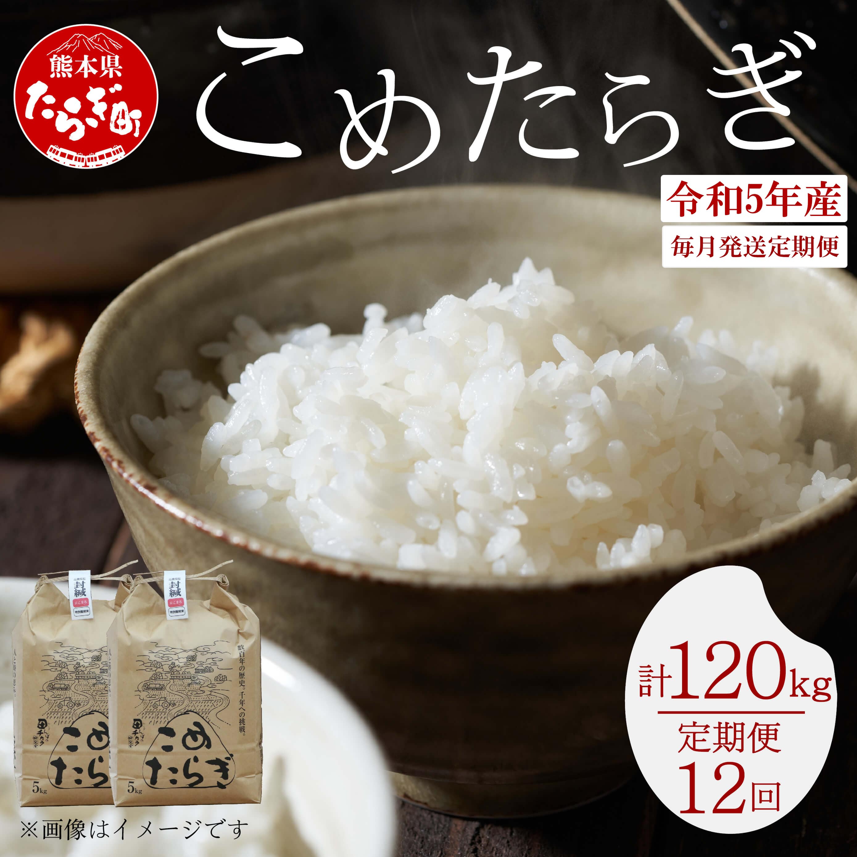 【定期便 毎月発送 全12回】 < R5年産先行予約 > 多良木町産 こめたらぎ にこまる 10kg × 12ヶ月 合計120kg 【 白米 精米 熊本県 多良木町 自然 豊か グランプリ 農家 多良木のびる 】 044-0585-a
