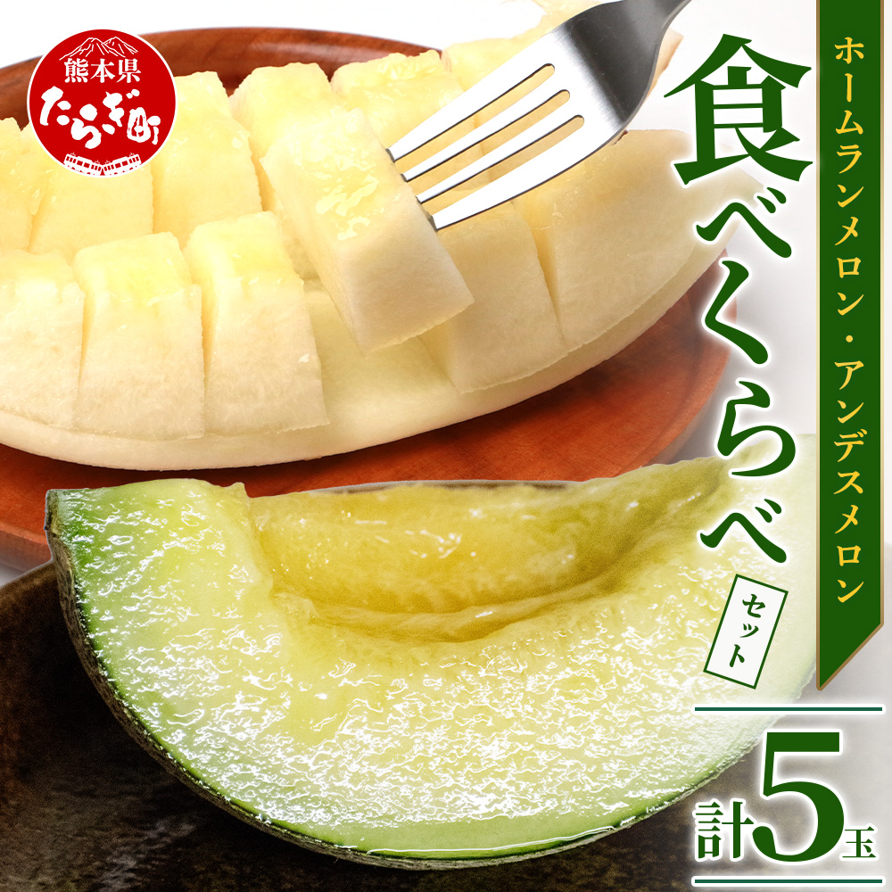 [2025年4月中旬発送開始]熊本県産 ホームランメロン アンデスメロン 食べ比べ 計5玉 約5kg[ 先行 御予約 予約 熊本 くまもと メロン フルーツ 果物 