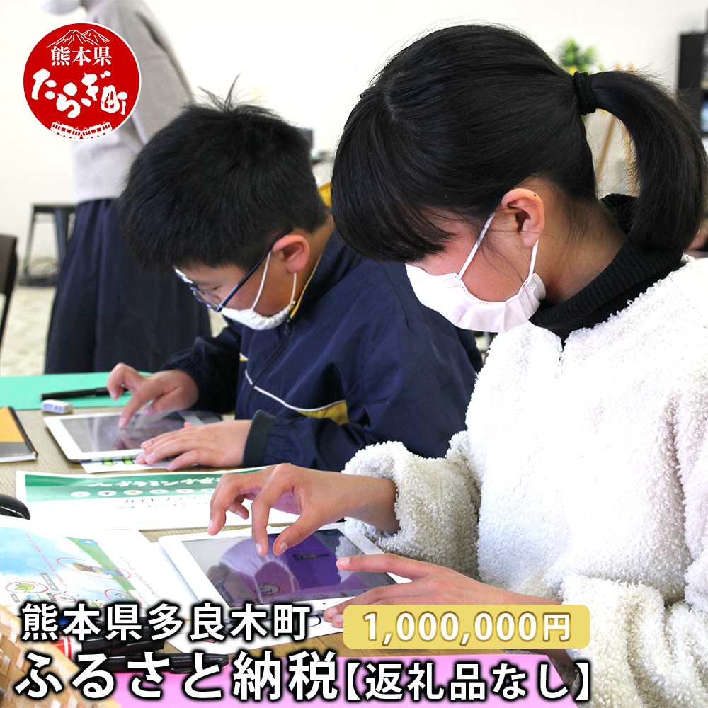 熊本県多良木町への寄附（返礼品はありません）【 ふるさと納税 熊本県 多良木町 応援 寄附 】028-0344-1000