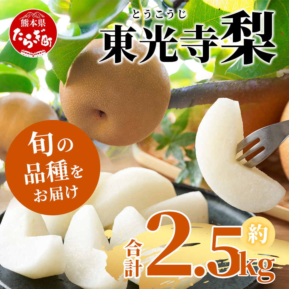 先行予約【2025年7月下旬~発送分】東光寺 梨 2.5kg (5~7玉) 1 先行予約【2025年7月下旬~発送分】東光寺 梨 2.5kg (5~7玉) 1