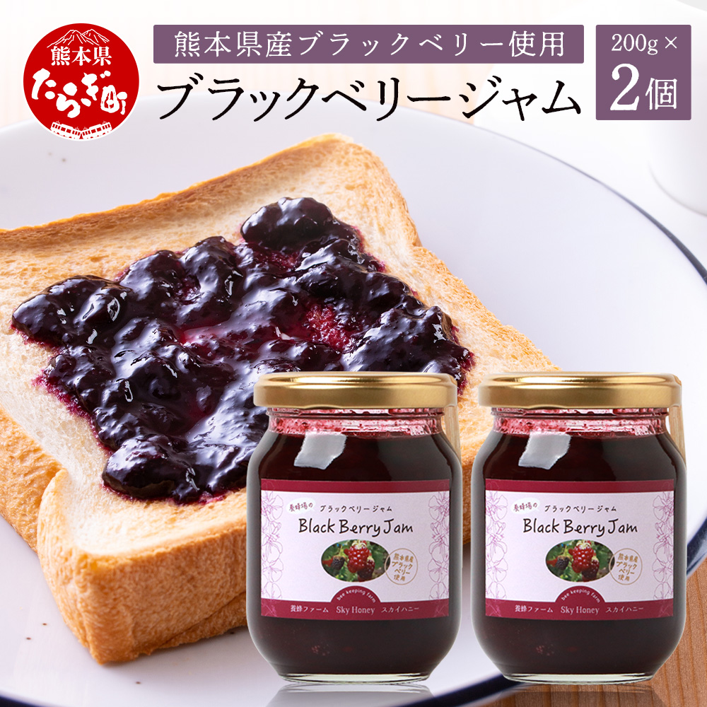無農薬 自家栽培 「ブラックベリー ジャム」 2瓶 セット  無農薬 無添加 無水 ベリー ポリフェノール 栄養 天然素材 スイーツ ゆず フルーツ 果物 094-0004