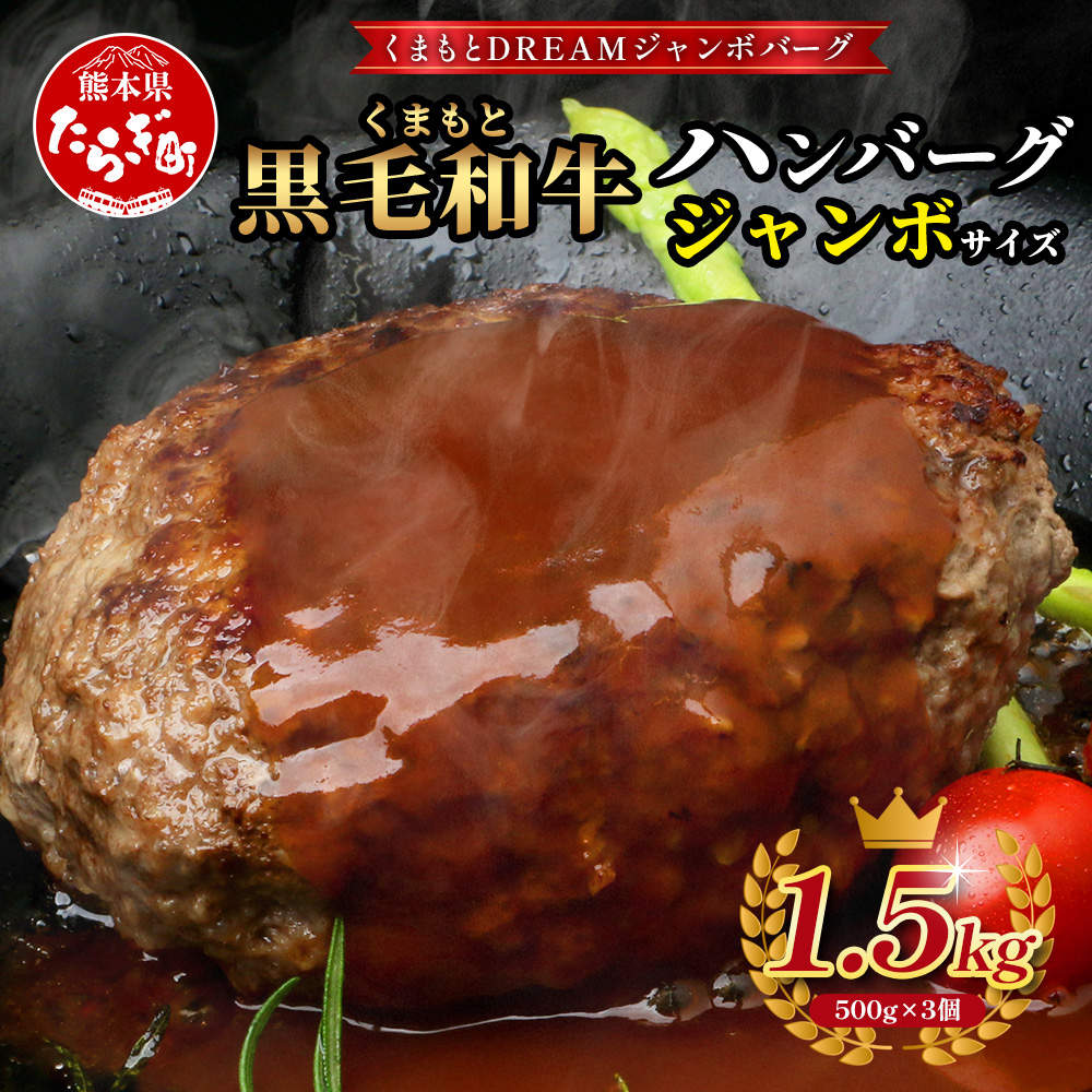 くまもと黒毛和牛 DREAMバーグ 150g×5パック 計750g 牛肉 100％ 国産 ハンバーグ 熊本 ブランド牛 黒毛 和牛 上質 はんばーぐ 惣菜 熊本県 113-0508