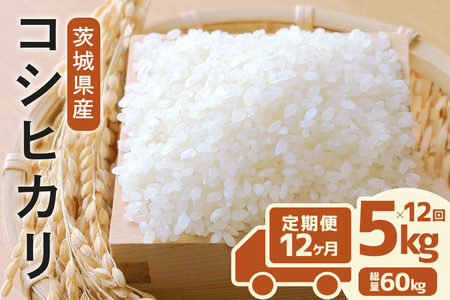 定期便 常陸牛農家が育てるコシヒカリ 5kg×12回 令和8年度産 米 お米 白米 こめ 精米 取り寄せ 特産 ごはん ご飯 コメ お取り寄せ ギフト 贈り物 お弁当 弁当 おにぎり ふっくら ツヤツヤ 甘い 農家直送 産地直送 国産 茨城県産