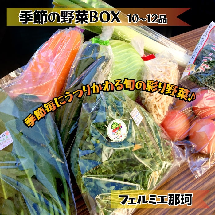 AQ-1R6 フェルミエ 野菜BOX10〜12品