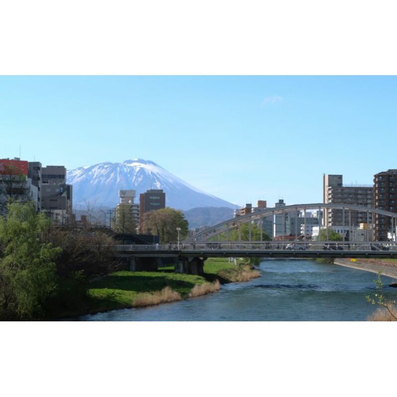 盛岡旅チケット わんこそば体験とディープな盛岡まち歩きガイドツアー(1名様/日帰り)