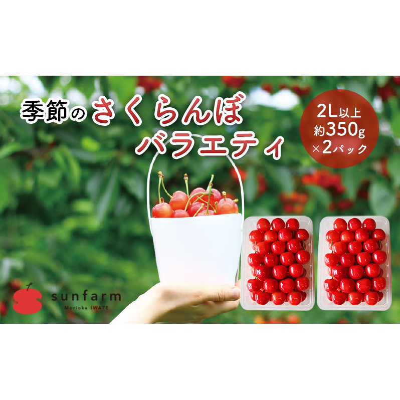 盛岡市 サンファーム 季節のさくらんぼ バラエティ 2L以上 約350g×2P※品種はお選びいただけません 果物類 フルーツ チェリー 
