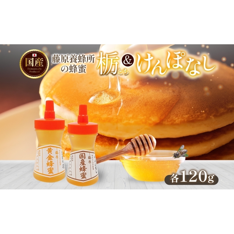 藤原黄金蜂蜜 栃 国産蜂蜜 ケンポナシ 各120g 計240g はちみつ とち 玄圃梨 国産 単花蜜 朝しぼり 完熟 ハチミツ パン 菓子 トースト ホットケーキ ヨーグルト 調味料 隠し味 お取り寄せ ポリ容器 常温 常備 送料無料 藤原養蜂場 岩手県 盛岡市