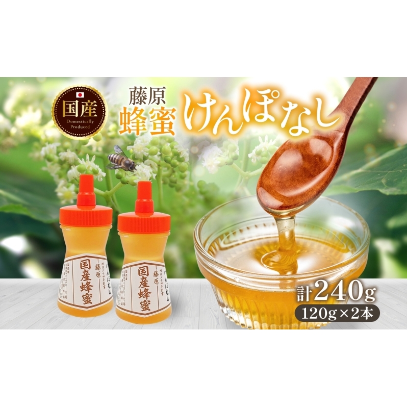藤原国産蜂蜜 けんぽなし 計240g はちみつ ケンポナシ 玄圃梨 国産 単花蜜 朝しぼり 完熟 ハチミツ パン 菓子 トースト ホットケーキ ヨーグルト 調味料 隠し味 お取り寄せ ポリ容器 常温 常備 送料無料 藤原養蜂場 岩手県 盛岡市