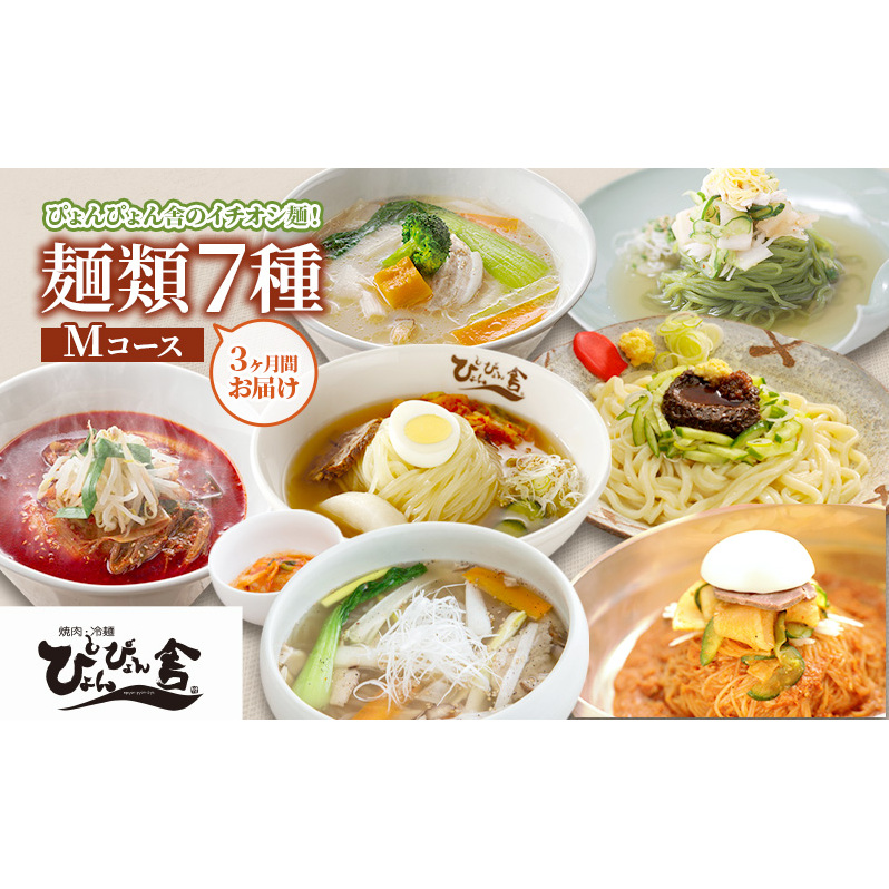 【 定期便 3回】麺類7種のMコース 麺 麺類 冷麺 温麺 じゃじゃ麺 冷蔵 ぴょんぴょん舎 岩手県 盛岡市