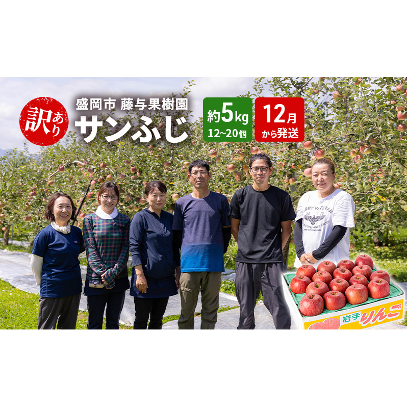 盛岡から「農で人をつなぐ」藤与果樹園：《訳アリ》サンふじ5kg 藤与果樹園 訳アリ 不揃い 傷 規格外 フルーツ 果物 旬のフルーツ 旬の果物 旬 冬 岩手 盛岡 産地直送 11月から発送