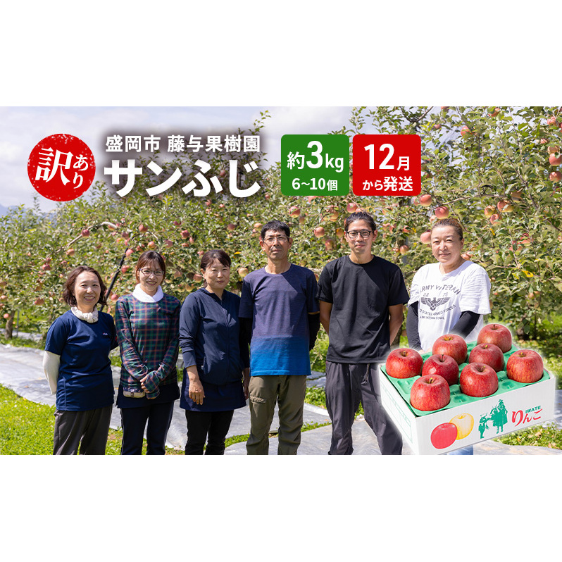 盛岡から「農で人をつなぐ」藤与果樹園:《訳アリ》サンふじ3kg 藤与果樹園 訳アリ 不揃い 傷 規格外 フルーツ 果物 旬のフルーツ 旬の果物 旬 冬 岩手 盛岡 産地直送 11月から発送