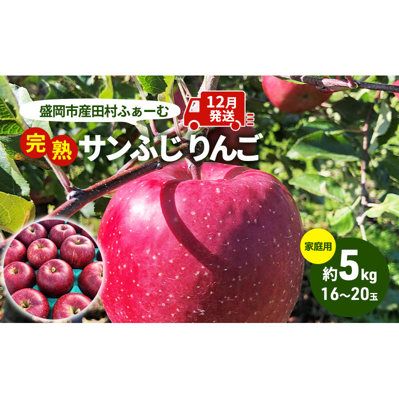 りんご 先行予約 家庭用 完熟 サンふじ 約 5kg (16~20玉) 田村ふぁーむ フルーツ 果物 冬 旬 旬のフルーツ 規格外 傷 不揃い 先行 予約 盛岡市産 林檎 リンゴ 岩手 岩手県 盛岡 盛岡市 12月発送 お届け:2025年12月1日~2025年12月25日