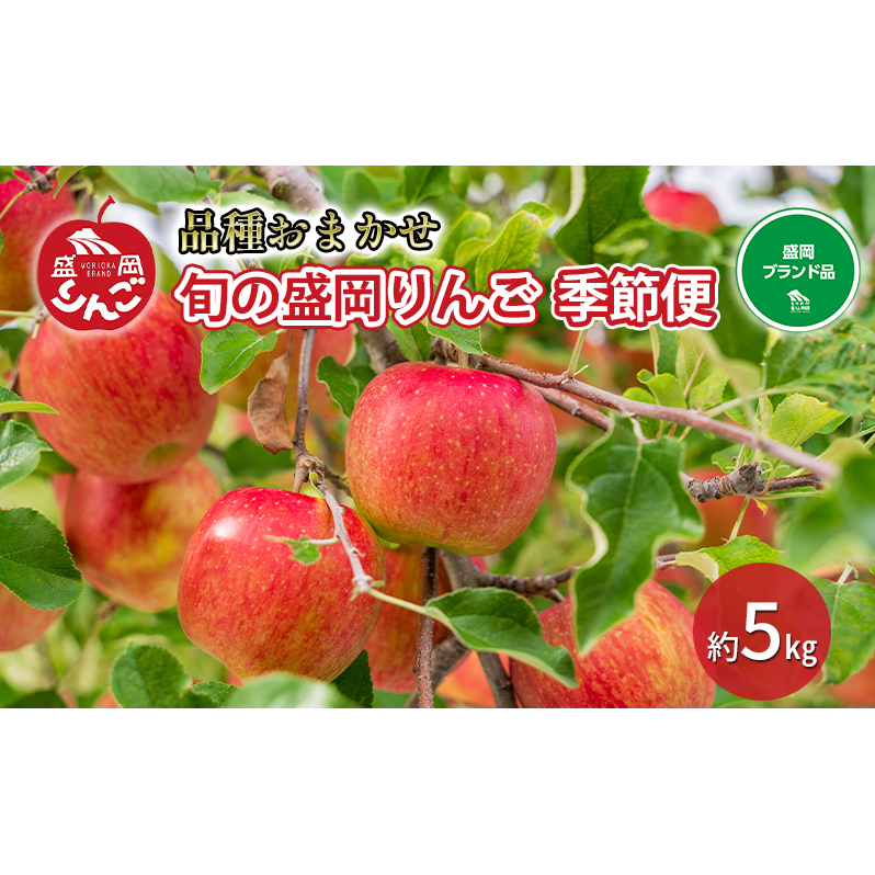 【先行予約】りんご工房きただ 旬の 盛岡りんご「季節便」5kgりんご(10月~2月末便) 果物類 フルーツ デザート 完熟 こだわり ブランド 認定 美味しい 厳選 食べ比べ おススメ 緑 黄色
