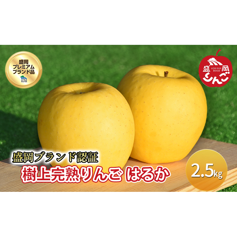 先行予約 りんご 樹上 完熟 はるか 約2.5kg 盛岡プレミアムブランド認証 りんご工房きただ フルーツ 果物 デザート 希少 黄色 高級 高級食材 特別栽培 旬のフルーツ 旬の果物 旬 冬 岩手 盛岡 産地直送