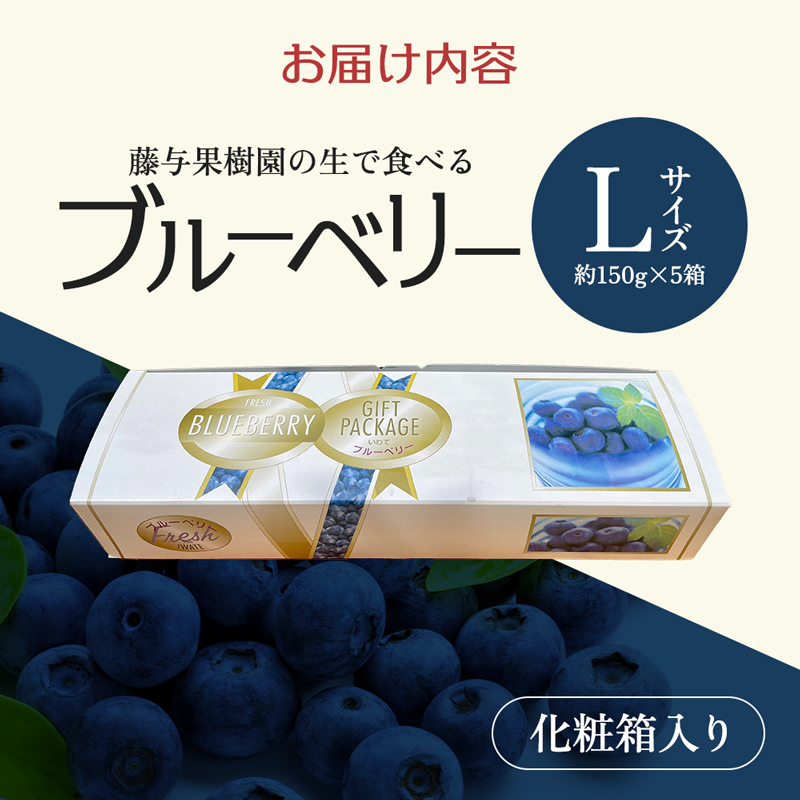 ☆令和7年 生ブルーベリー☆農薬不使用 5㌔ 2025年10月】無農薬冷凍ブルーベリーのおすすめ人気ランキング